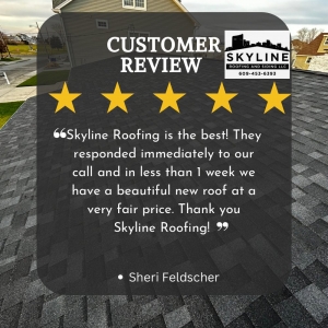 Photo of Skyline Roofing and Siding