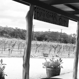 Photo of Dry Comal Creek Vineyards