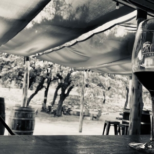 Photo of Dry Comal Creek Vineyards