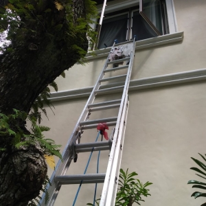 Photo of American Window and Pressure Cleaning Systems
