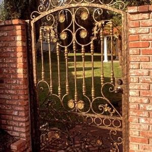 Photo of Carrasco Ornamental