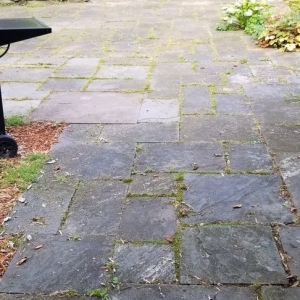Photo of Powerhouse Window Cleaning & Power Washing