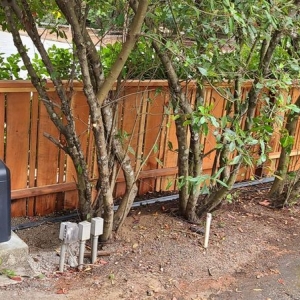 Photo of Automatic Gate Pros