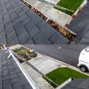 Hood River Regal Exterior Cleaning