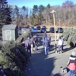 Photo of Exchange Club Christmas Tree & Wreath Sale