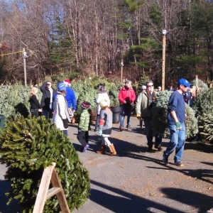 Photo of Exchange Club Christmas Tree & Wreath Sale