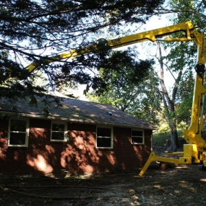 Photo of Artistic Tree & Landscape Creations