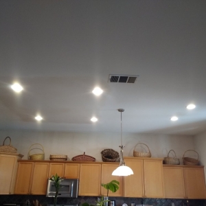 Photo of The Recessed Light Guy