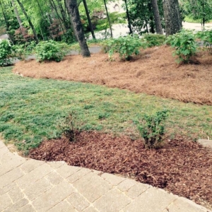 Photo of Full Service Lawn Care By Ed