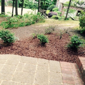 Photo of Full Service Lawn Care By Ed