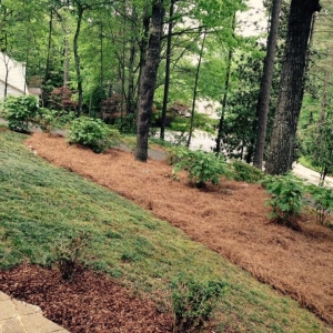 Photo of Full Service Lawn Care By Ed
