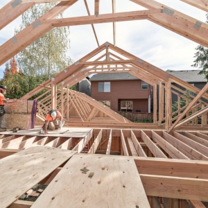 Photo of Paradise Construction