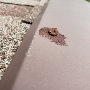 Photo of Guns & Hoses Roofing