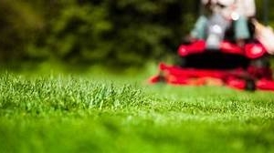 Photo of Central MS Landscaping