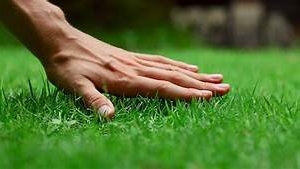 Photo of Central MS Landscaping