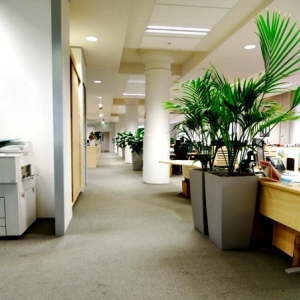 Photo of My Office Janitor Organization