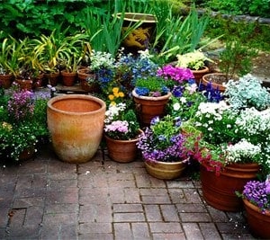 Photo of Carlin's Gardens