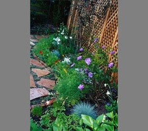 Photo of Carlin's Gardens