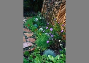 Photo of Carlin's Gardens