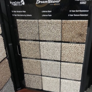Photo of Mr Carpet