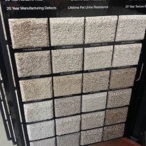 Photo of Mr Carpet