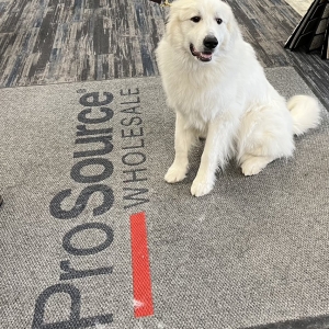 Photo of ProSource of Plymouth