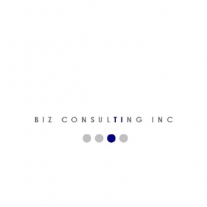 Photo of Biz Consulting