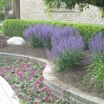Photo of Higher Ground Landscaping