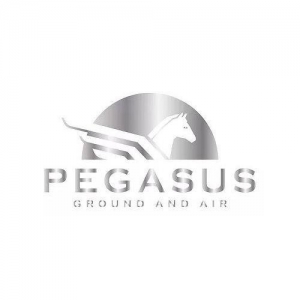 Photo of Pegasus Ground and Air