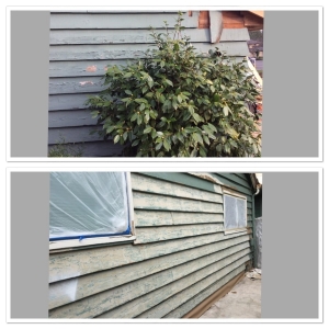Photo of Fine Finishes By Camilo