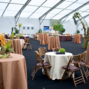 Photo of Event Fx