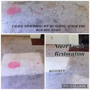 Photo of Start Fresh Restoration