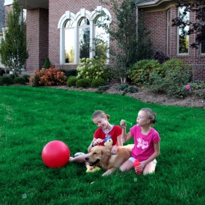 Photo of Natural Way Lawn & Tree Service