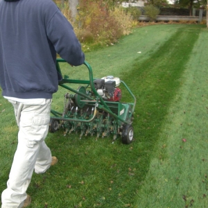Photo of Natural Way Lawn & Tree Service