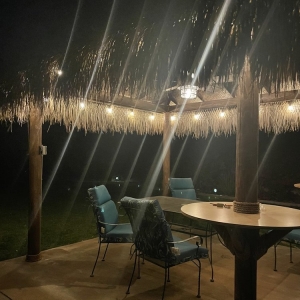 Photo of Two Brothers Palapa