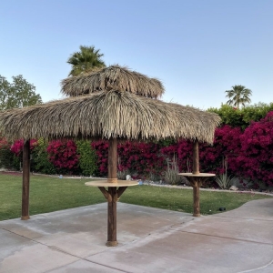 Photo of Two Brothers Palapa