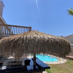 Photo of Two Brothers Palapa