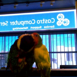 Photo of Castro Computer Services