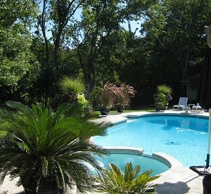 Photo of Texas Landscape Maintenance