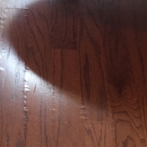 Photo of Style Floors