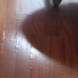 Photo of Style Floors