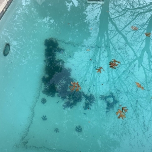 Photo of Poolwerx - Forest Lane