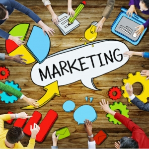 Photo of MoreBiz Digital Marketing