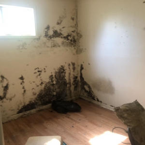 Photo of Restoration Plus+