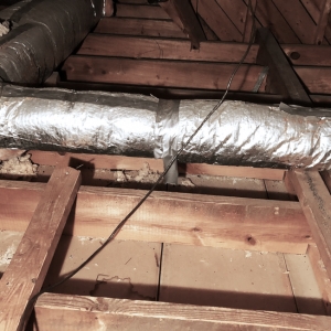 Photo of Rodent Solutions Pro - Rodent Proofing & Insulation Removal