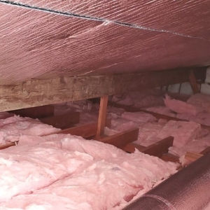 Photo of Rodent Solutions Pro - Rodent Proofing & Insulation Removal