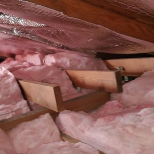 Photo of Rodent Solutions Pro - Rodent Proofing & Insulation Removal
