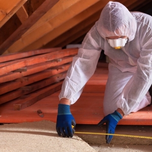 Photo of Rodent Solutions Pro - Rodent Proofing & Insulation Removal