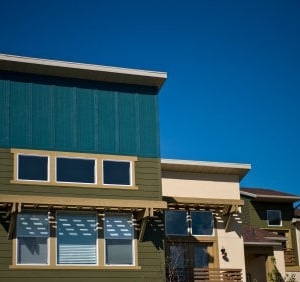 Photo of Cypress Painting