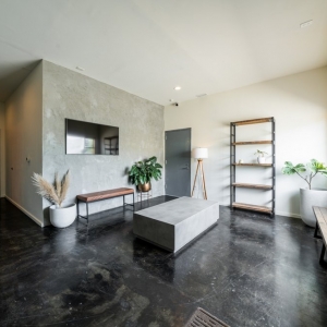 Seattle Particle Creative & Studio